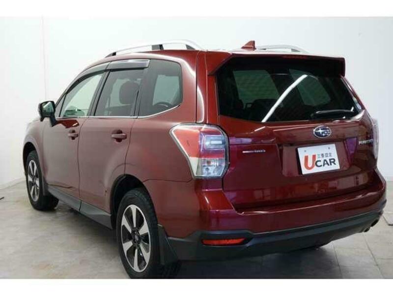 FORESTER-9