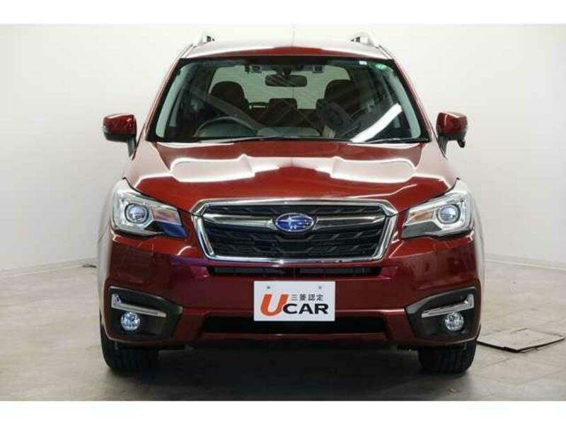 FORESTER-3