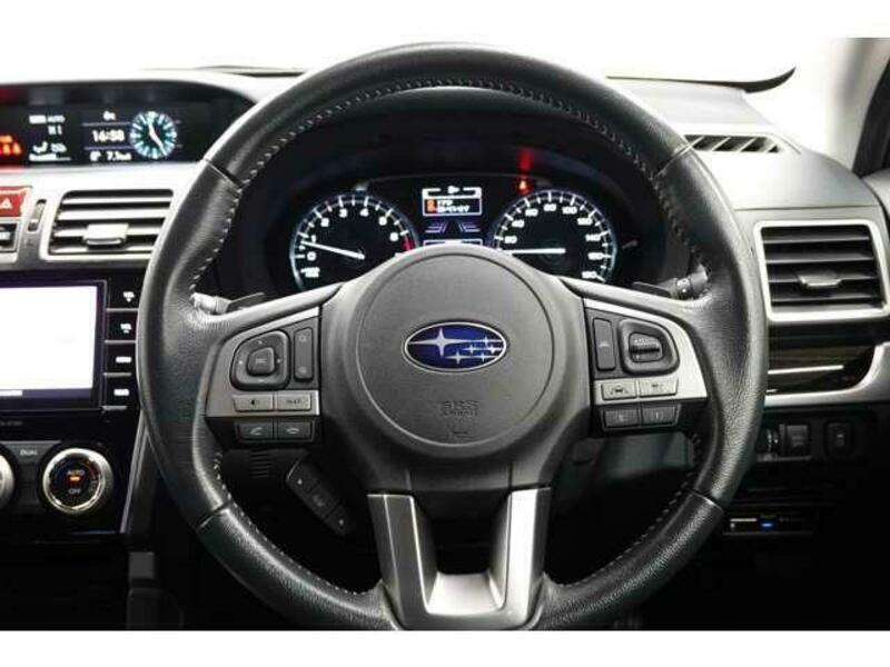 FORESTER-10