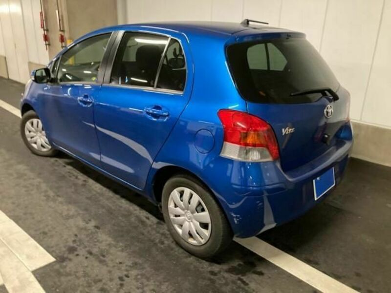 VITZ-3