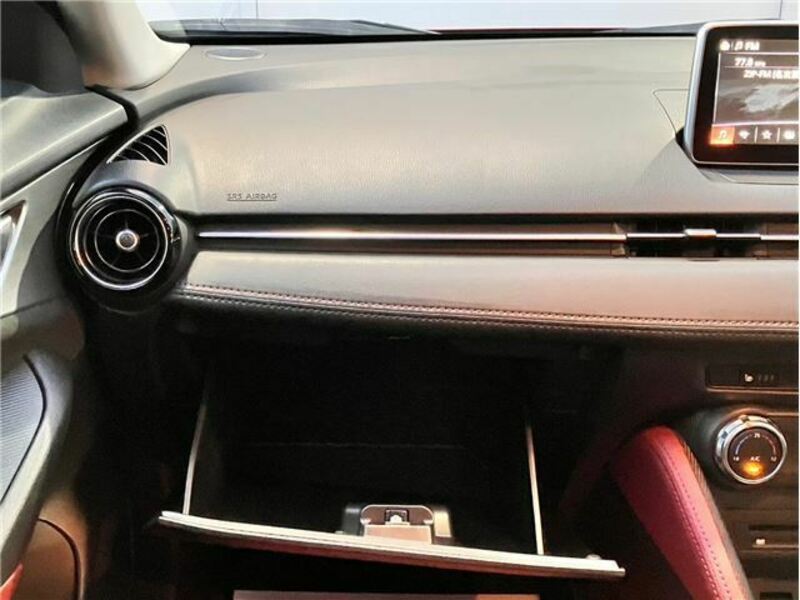 CX-3-19