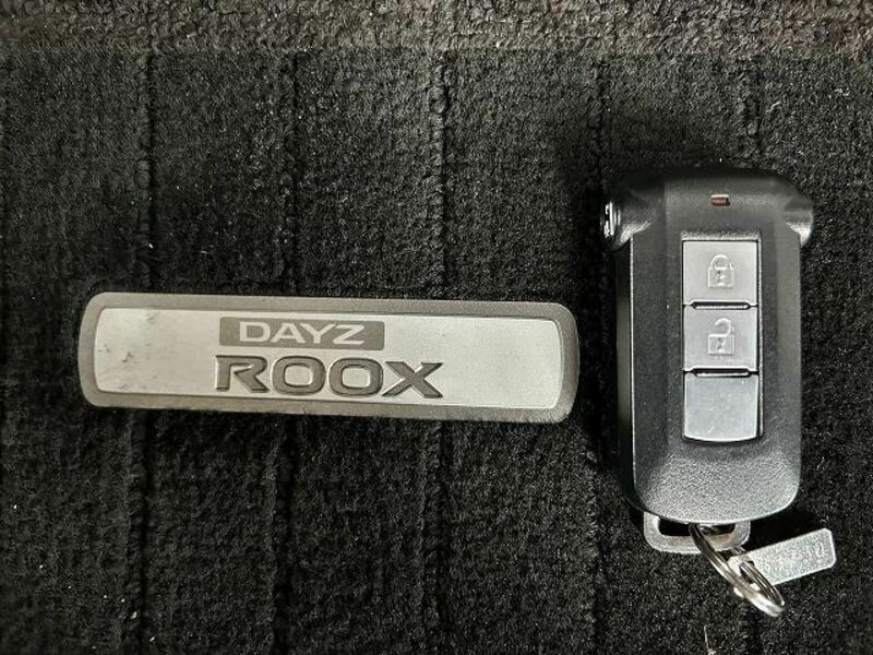 DAYZ ROOX-46