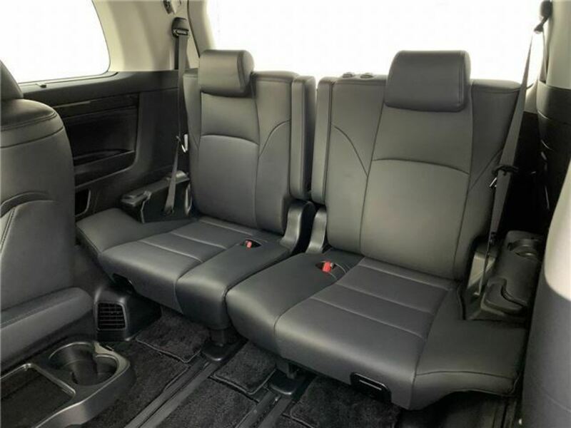 VELLFIRE-19