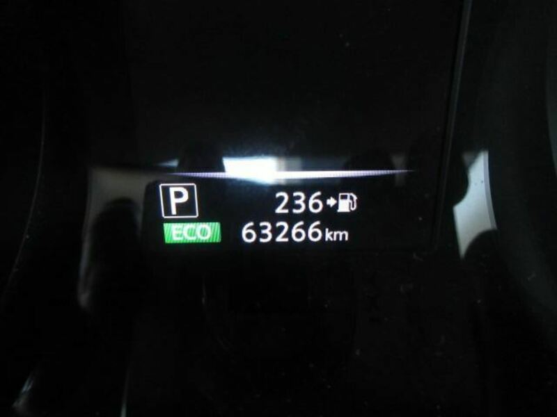 X-TRAIL-10