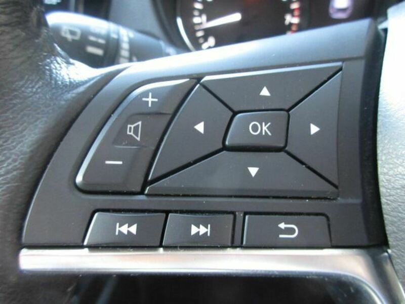X-TRAIL-17