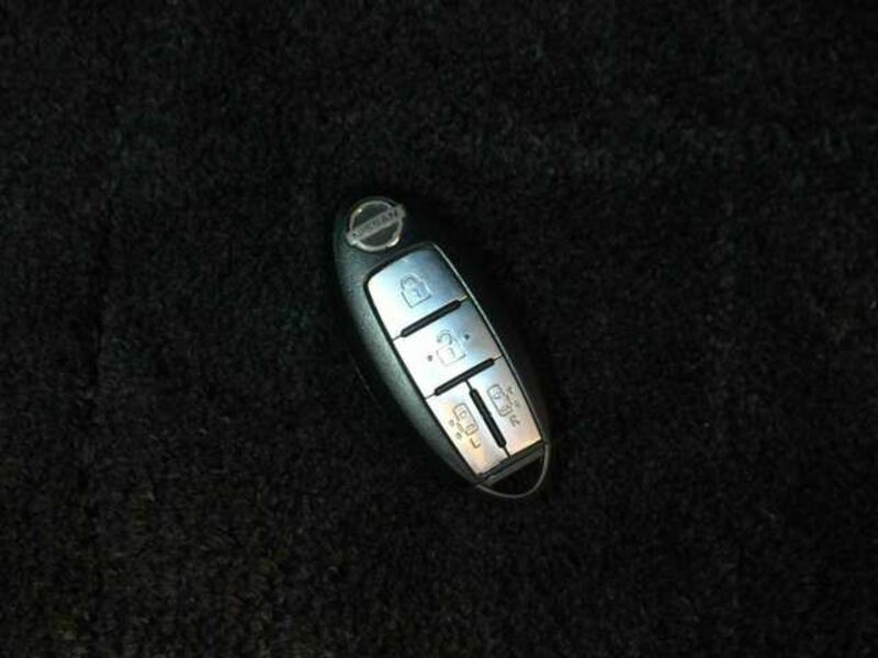 ELGRAND-13