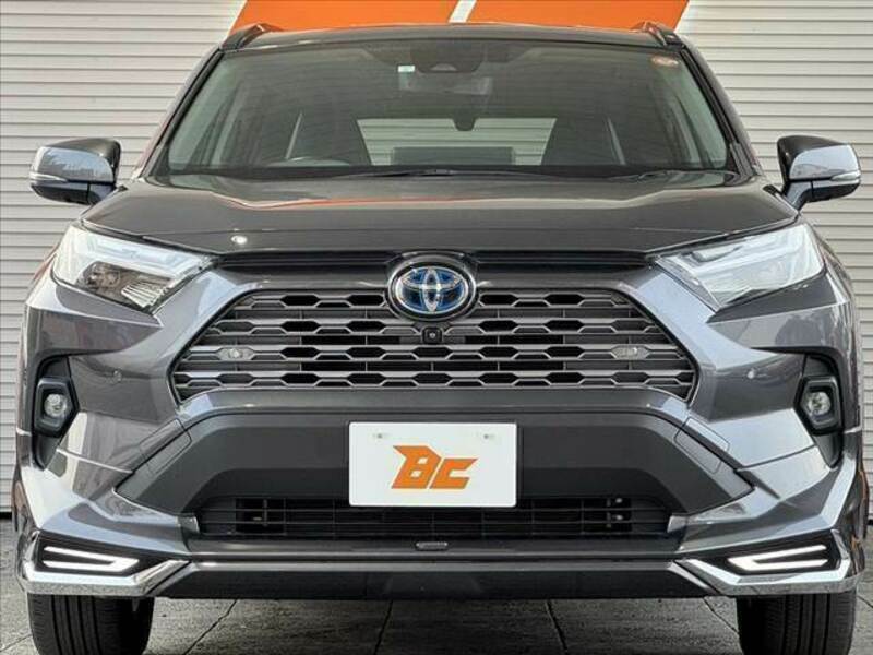 RAV4-8