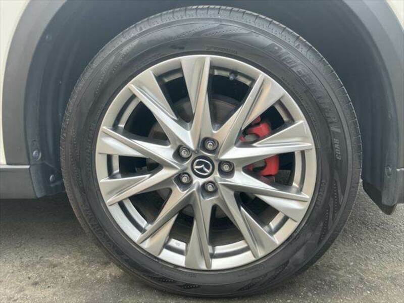 CX-8-15