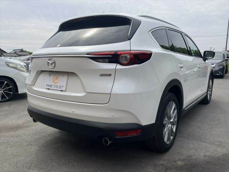 CX-8-19