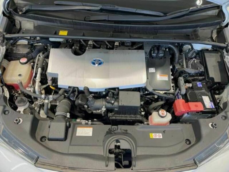 PRIUS-17