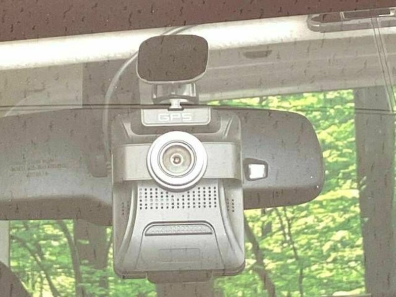 DAYZ ROOX-6