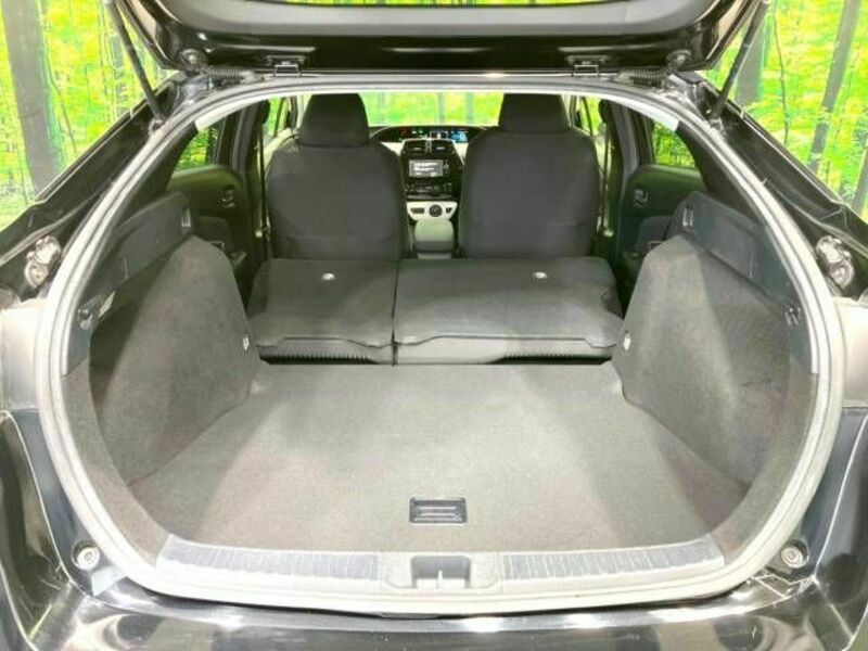 PRIUS-9