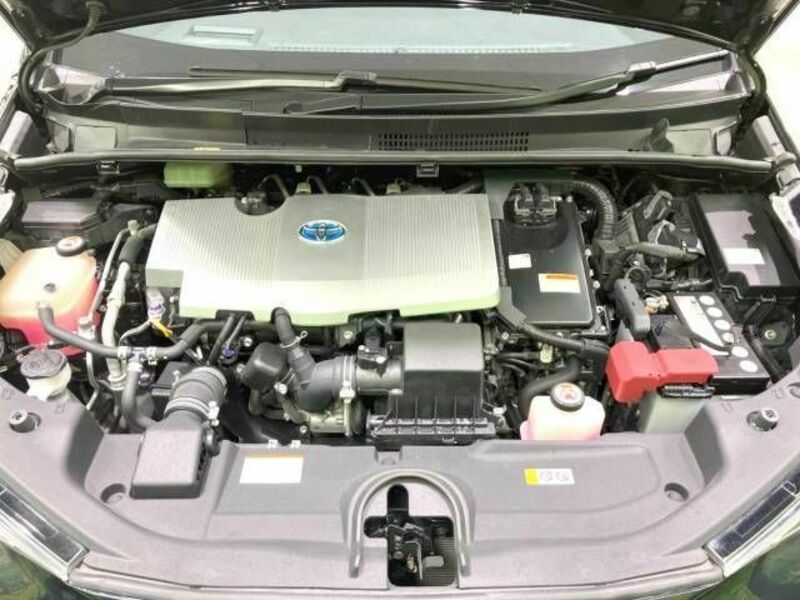 PRIUS-17