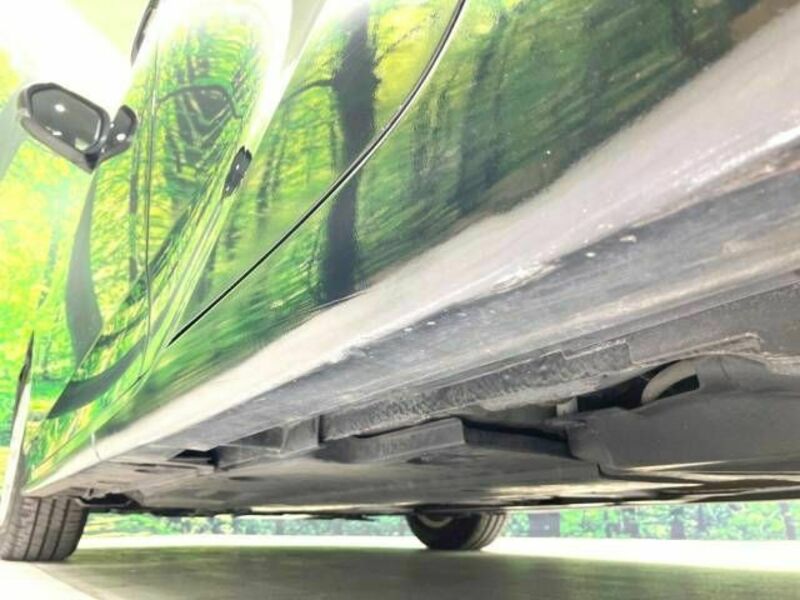 PRIUS-19