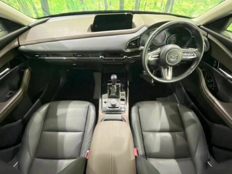CX-30-1