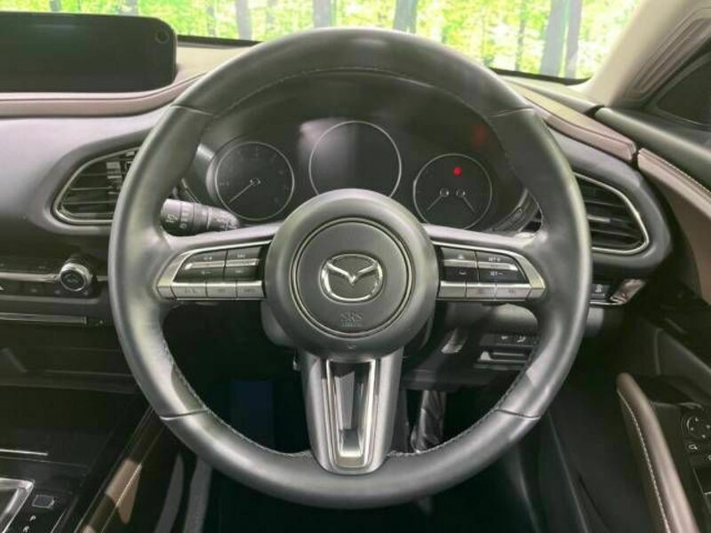 CX-30-11
