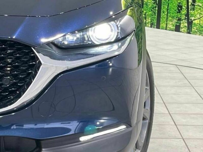 CX-30-12