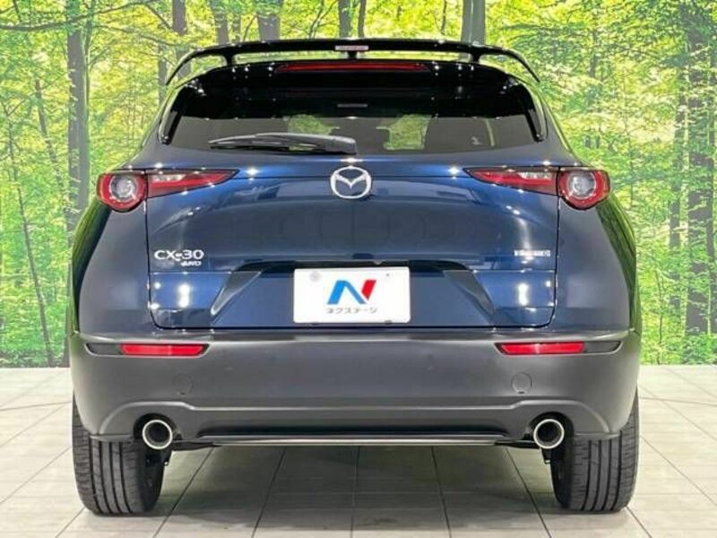 CX-30-15