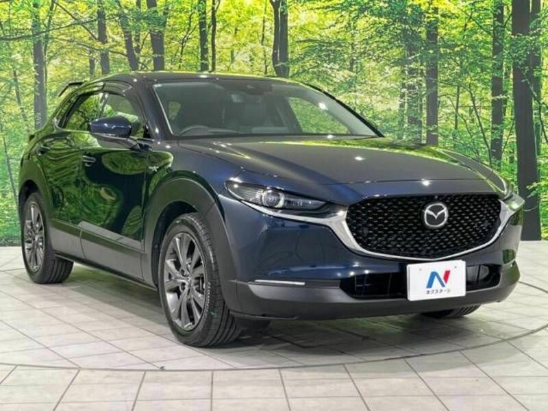 CX-30-16