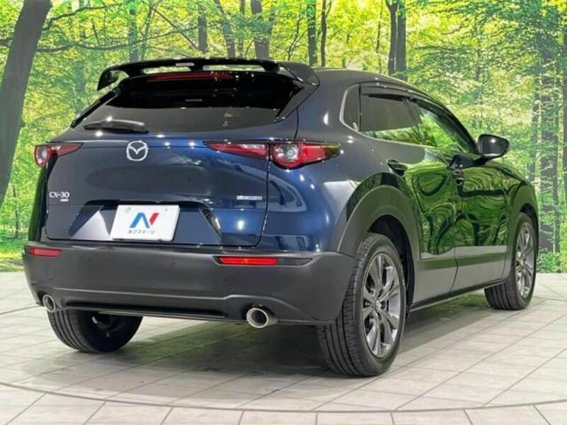 CX-30-17