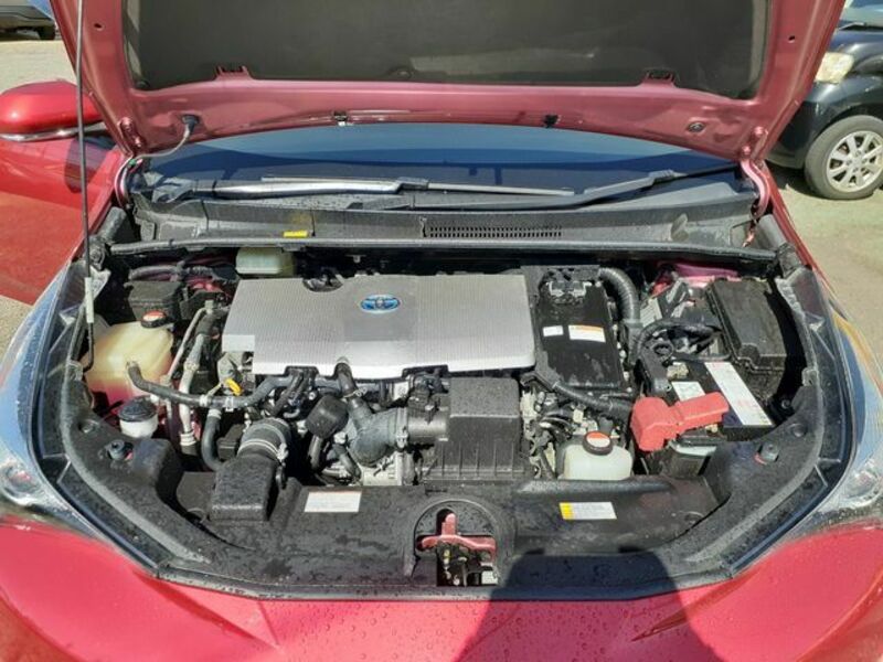 PRIUS-13