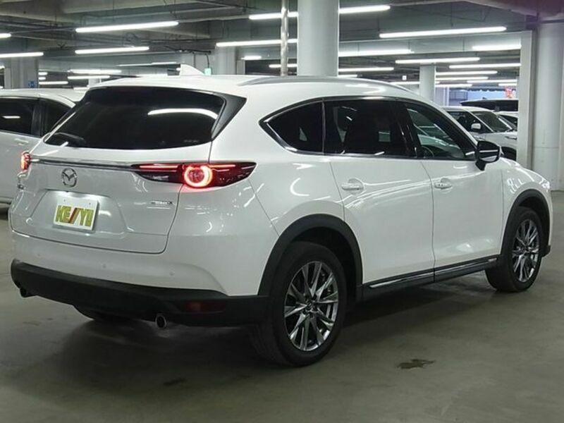 CX-8-1