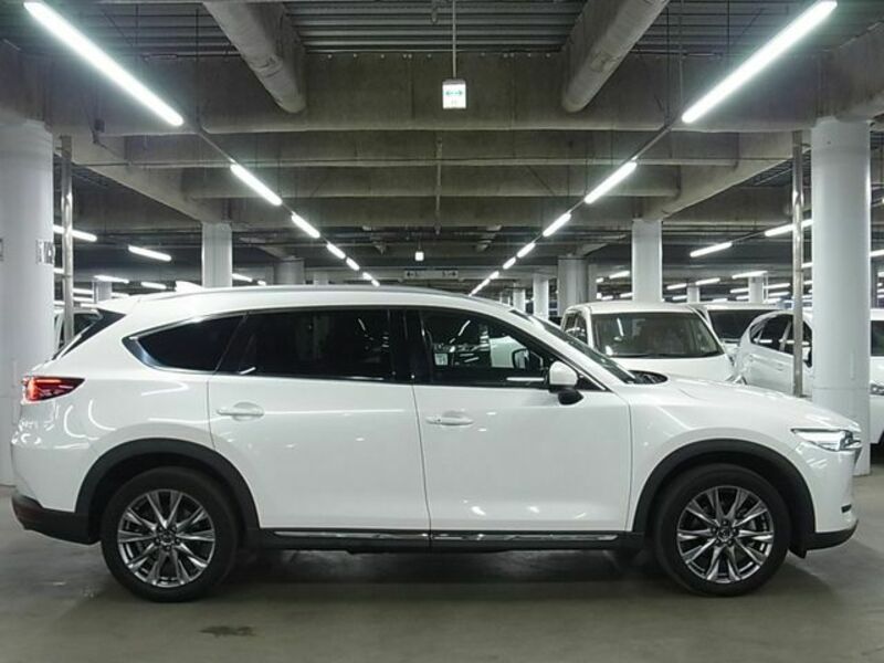 CX-8-7