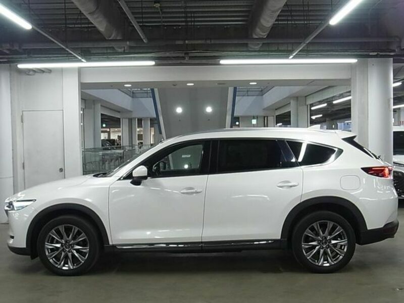 CX-8-8