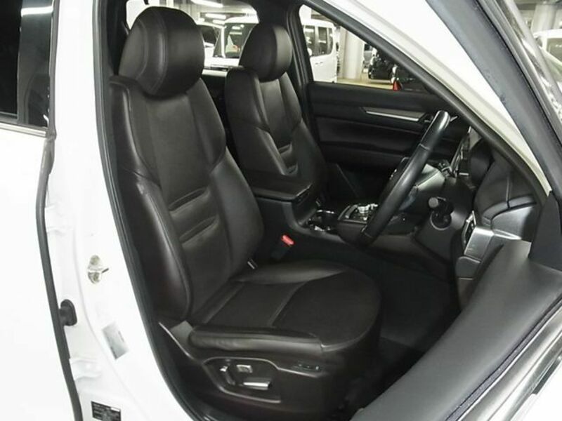 CX-8-11