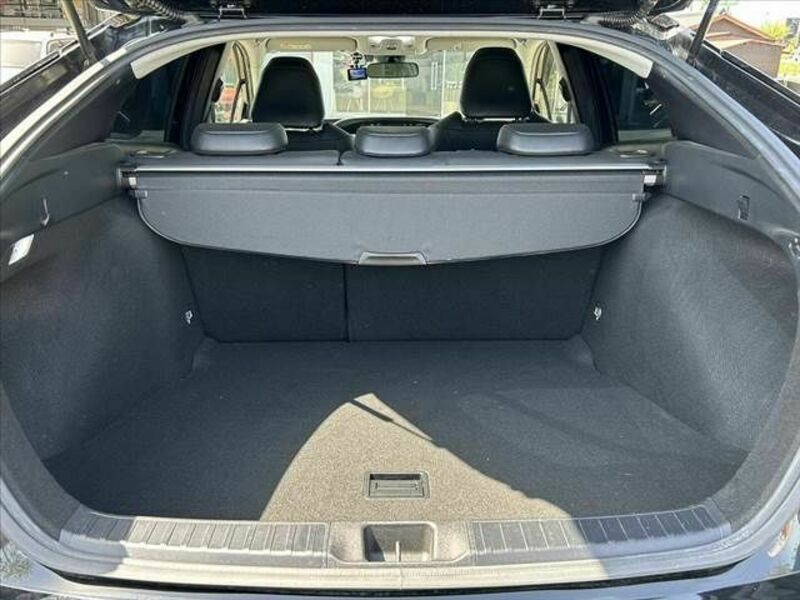 PRIUS-19
