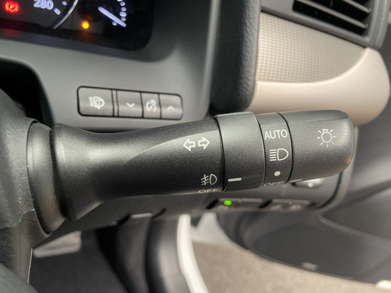 LS-19