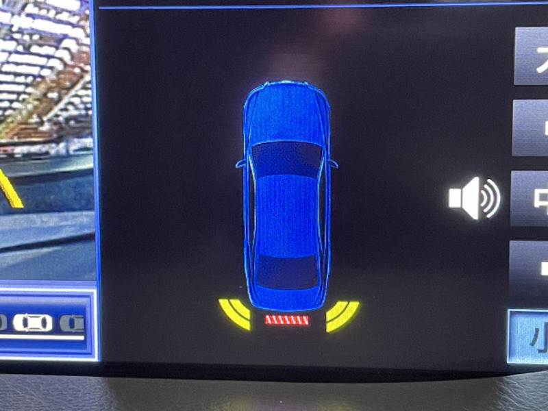 LS-10