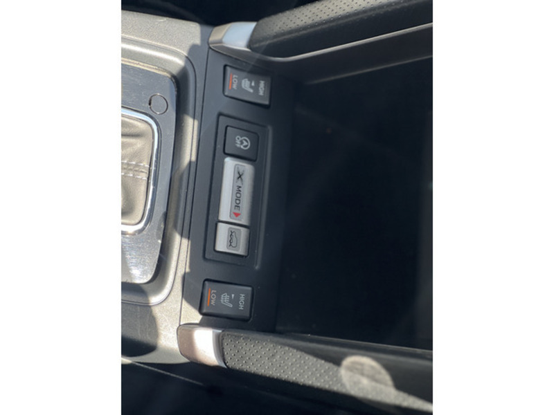FORESTER-13