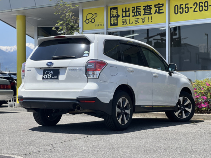 FORESTER-1
