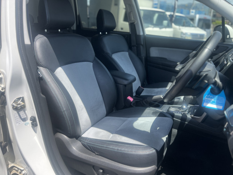 FORESTER-16