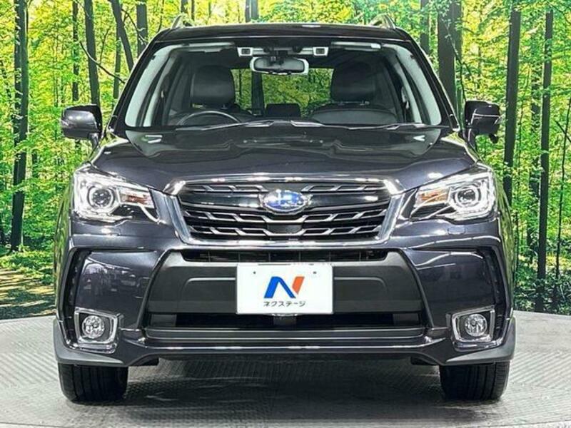 FORESTER-16