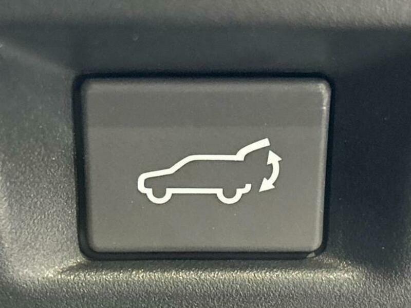 FORESTER-6