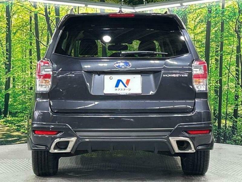 FORESTER-17
