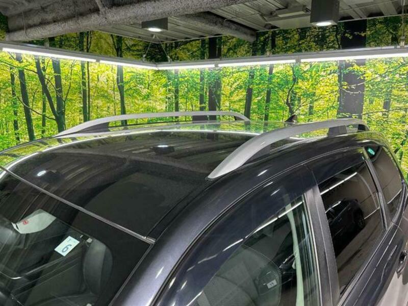 FORESTER-10