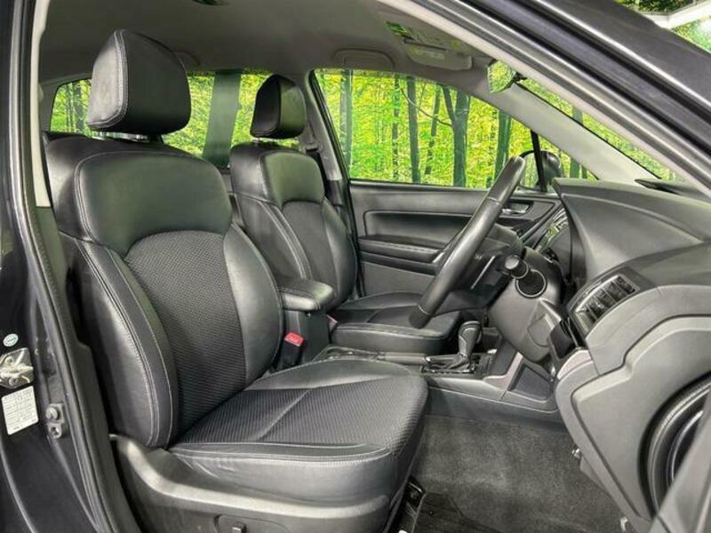 FORESTER-11