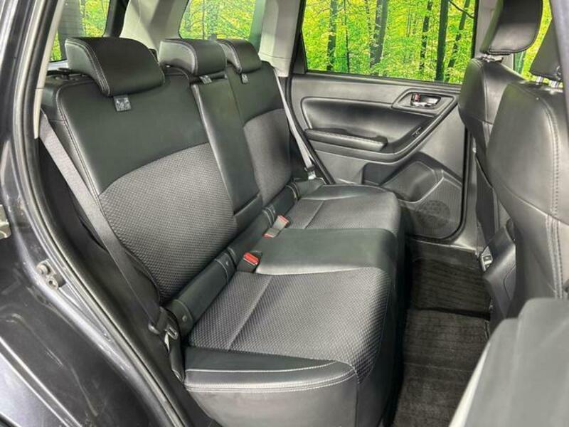 FORESTER-12