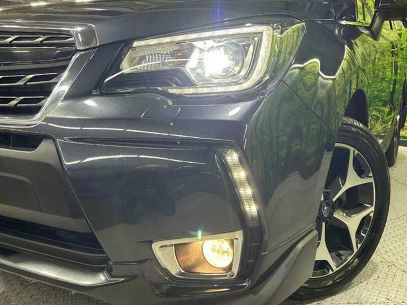 FORESTER-14