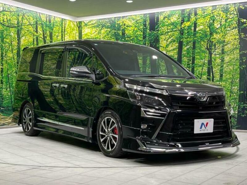 VOXY-17