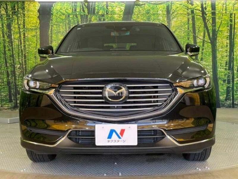 CX-8-14