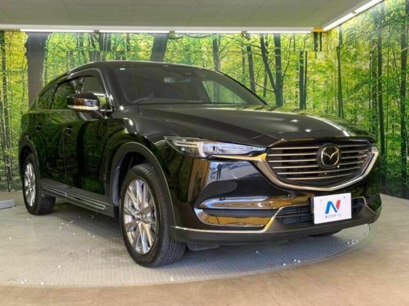 CX-8-16