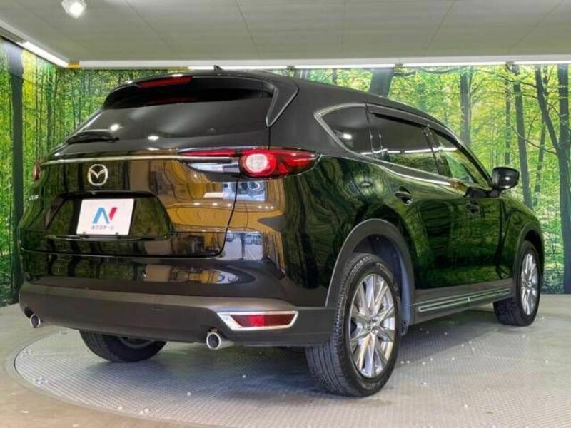 CX-8-17