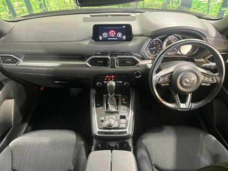 CX-8-1