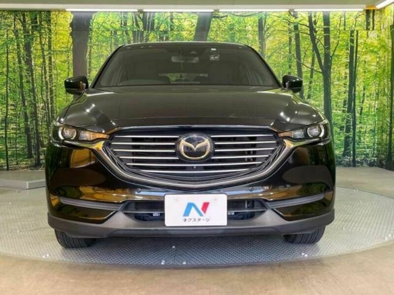 CX-8-14