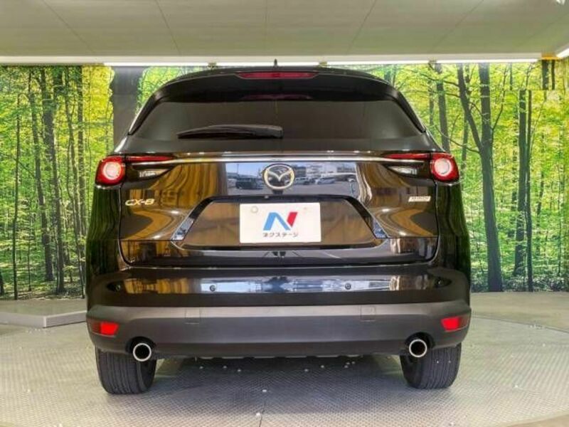 CX-8-15
