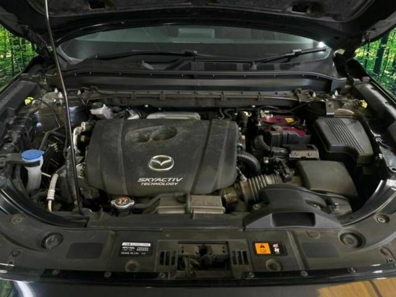 CX-8-17